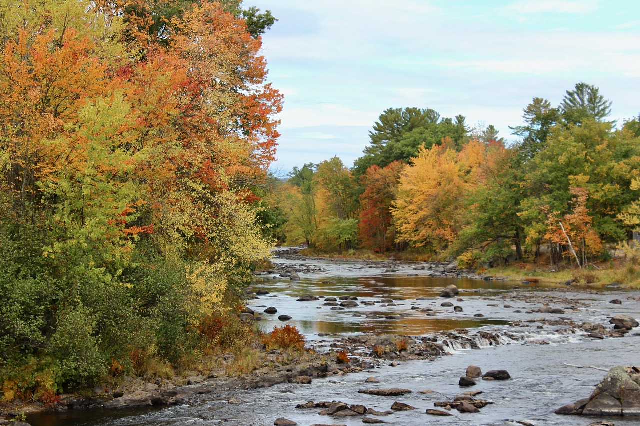 Fall, new england, new hampshire — A Guide To Know The Standard Format Of A Resume
