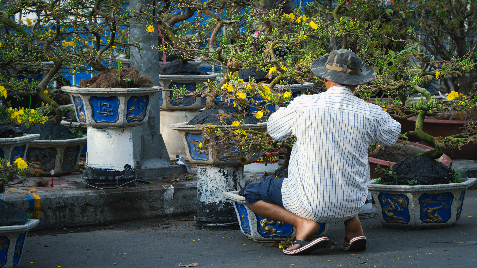 Professional Landscaping Ideas to Help Make Your Yard the Envy from the Neighborhood