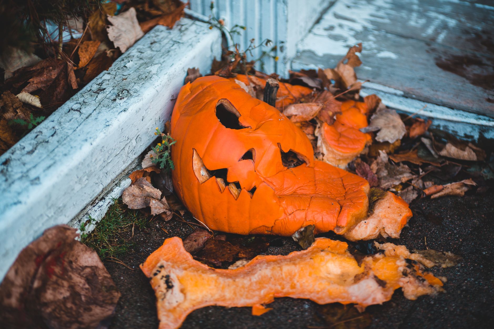 Halloween takeover resort